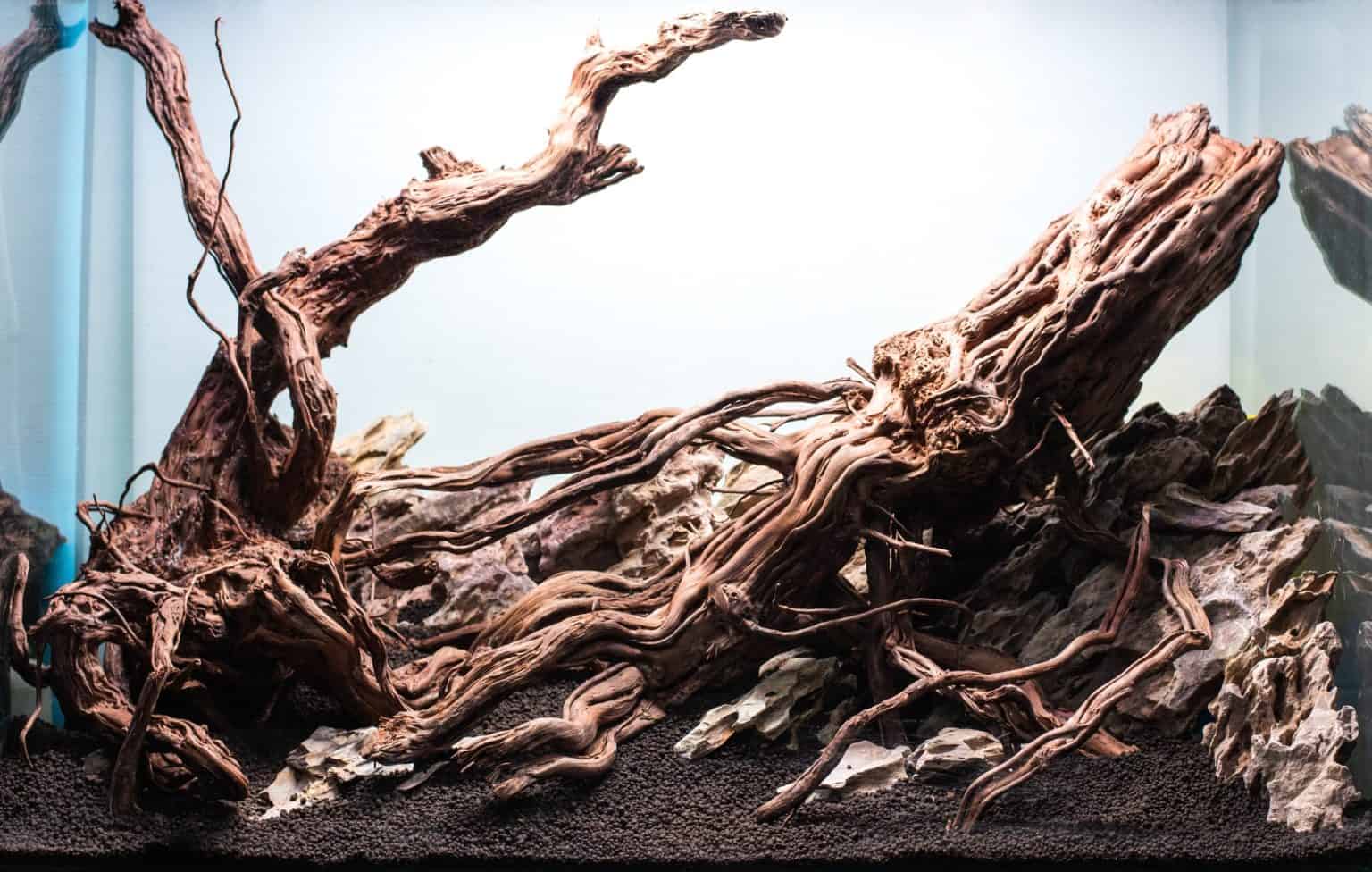 Aquarium Driftwood The Ultimate Guide Fish Laboratory