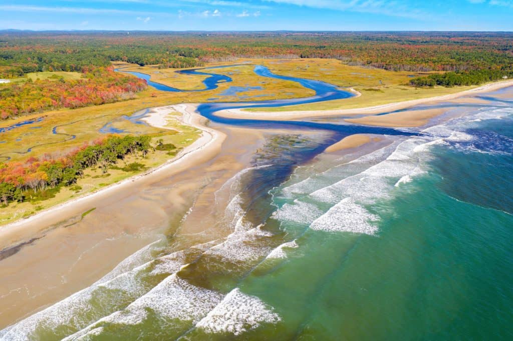 Differences Between Freshwater Fish And Saltwater Fish