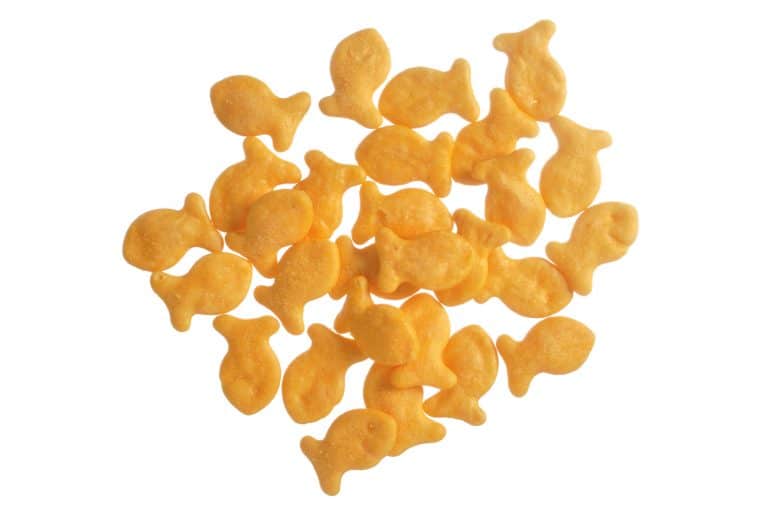 Fish or Fishes: What is the Plural Form of Fish? - Fish Laboratory