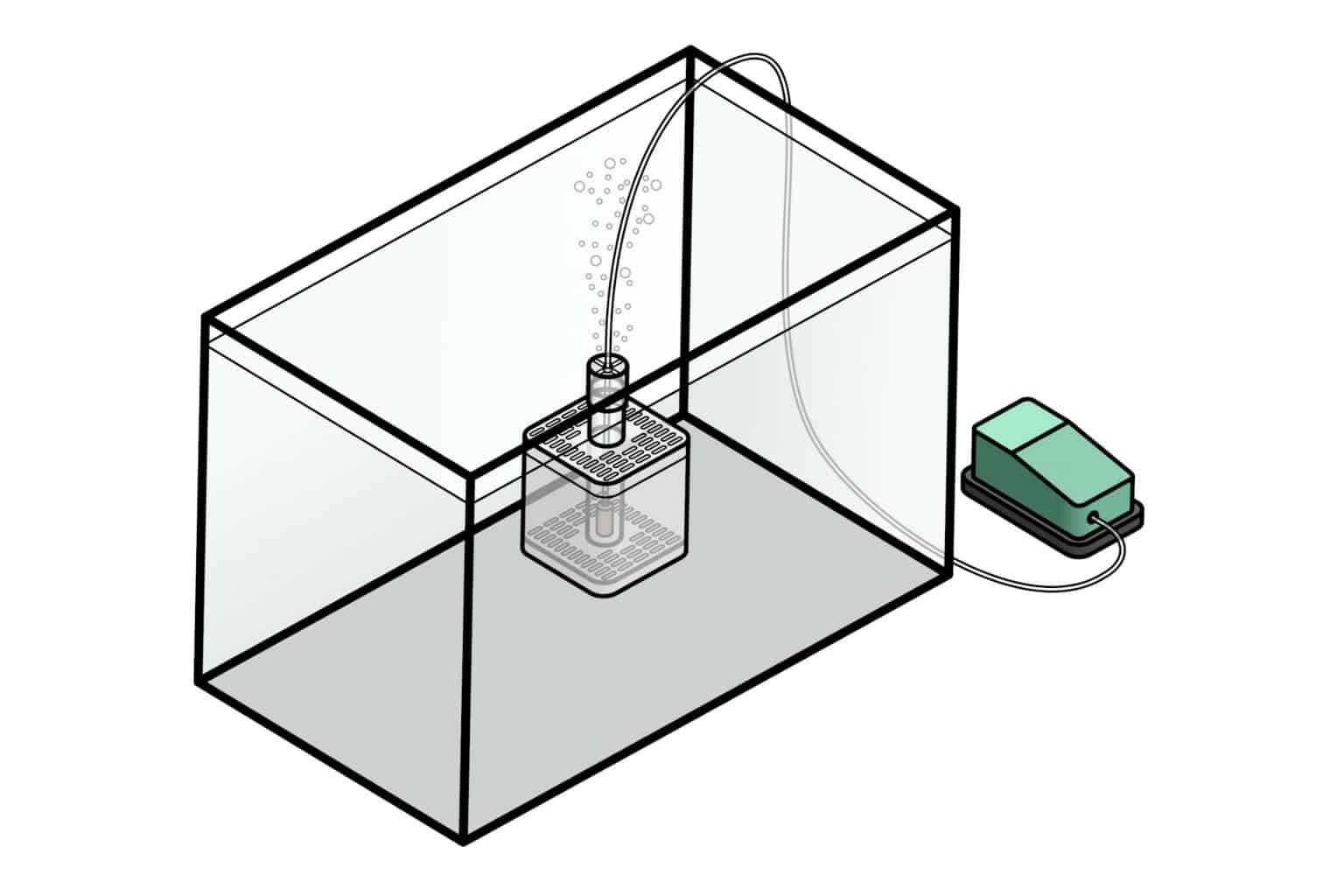 Aquarium Air Pump Best Air Pump for Fish Tanks & More Fish Laboratory