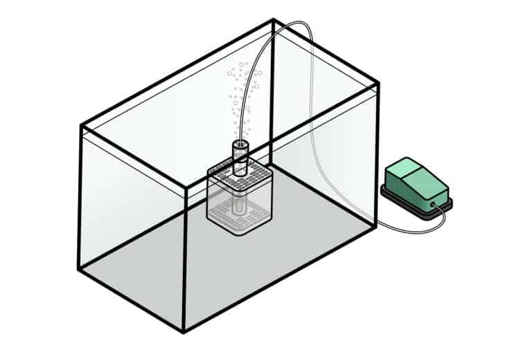 Aquarium Air Pump Best Air Pump for Fish Tanks & More Fish Laboratory