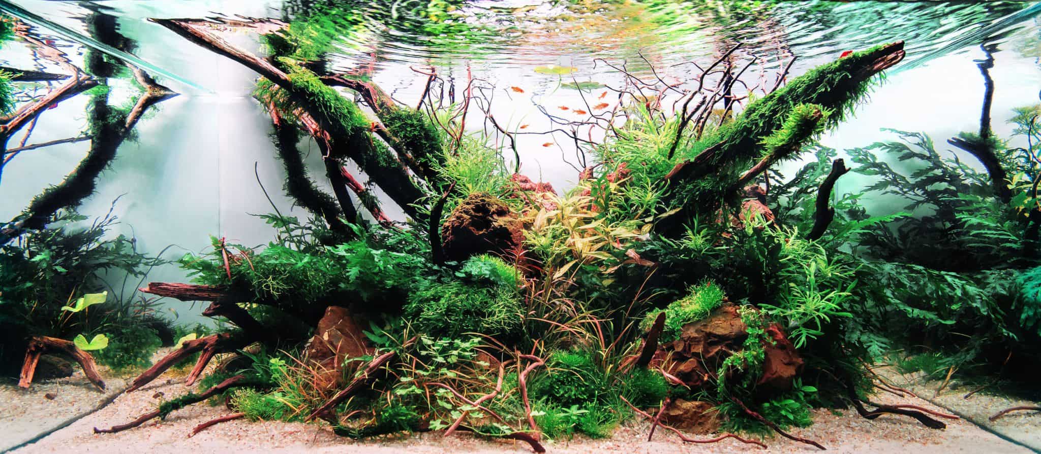 Fish Laboratory Aquariums & Fish Tanks