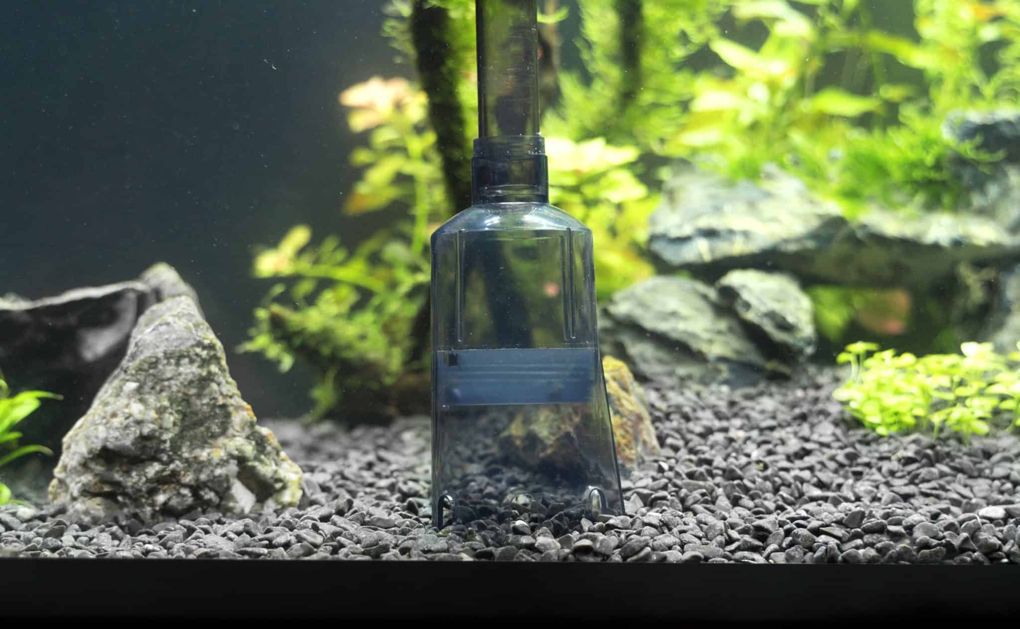 Best Gravel Vacuum Guide to Aquarium Gravel Cleaner Types & More
