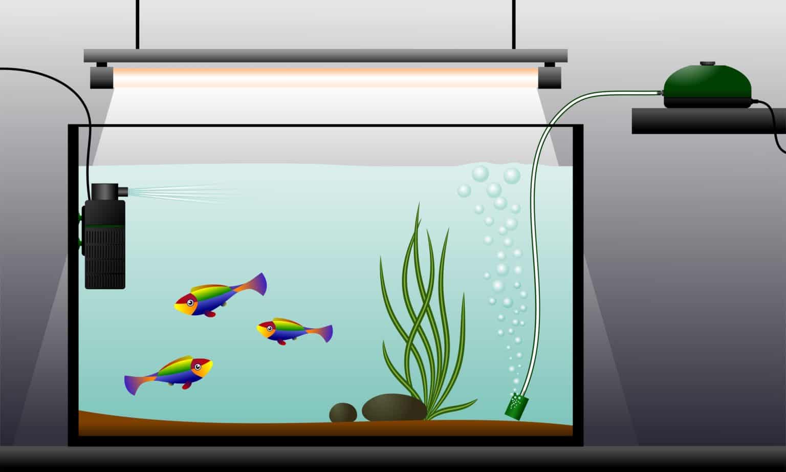 Best Aquarium Air Stone Guide to Fish Tank Bubblers Fish Laboratory