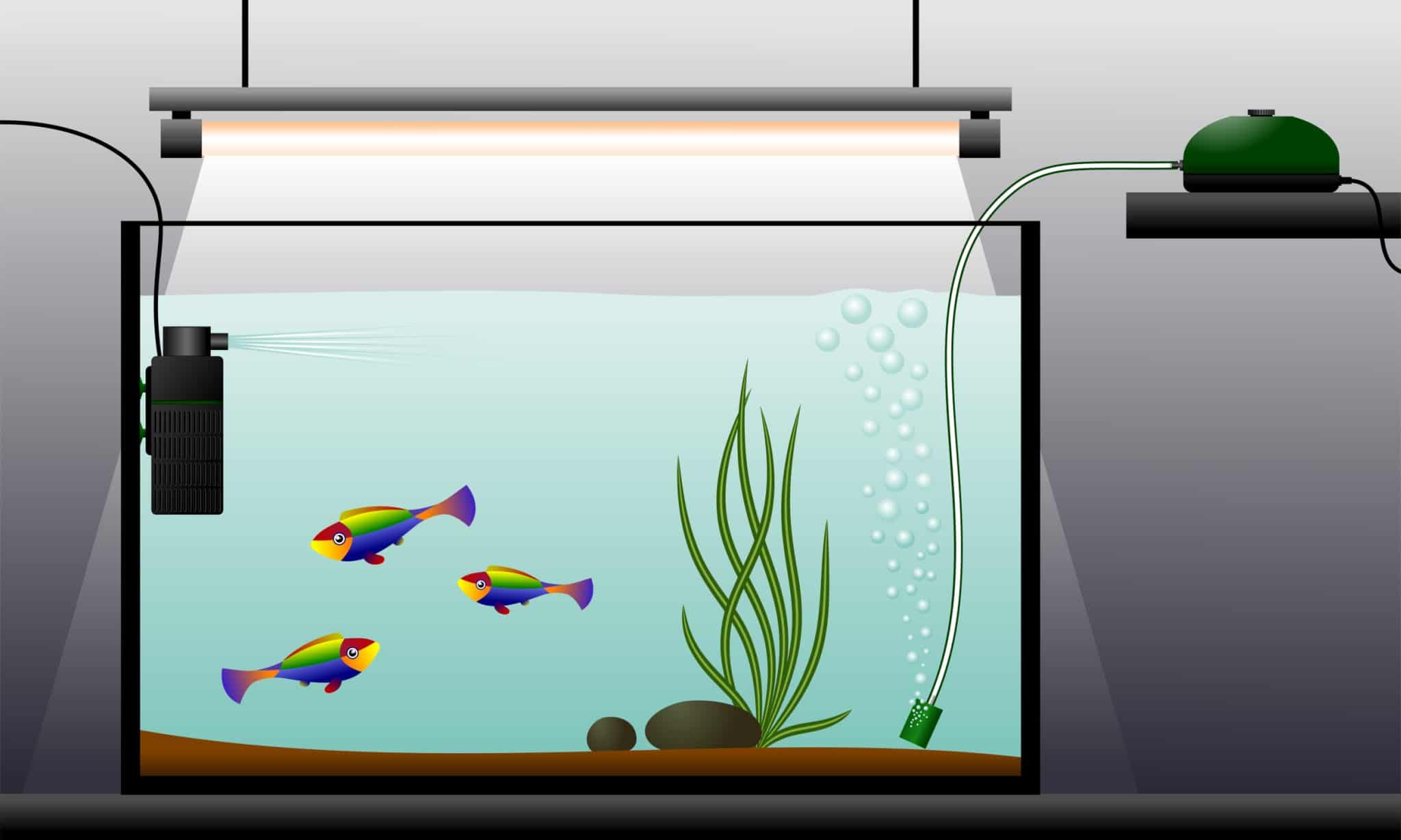 Best Aquarium Air Stone Guide to Fish Tank Bubblers Fish Laboratory