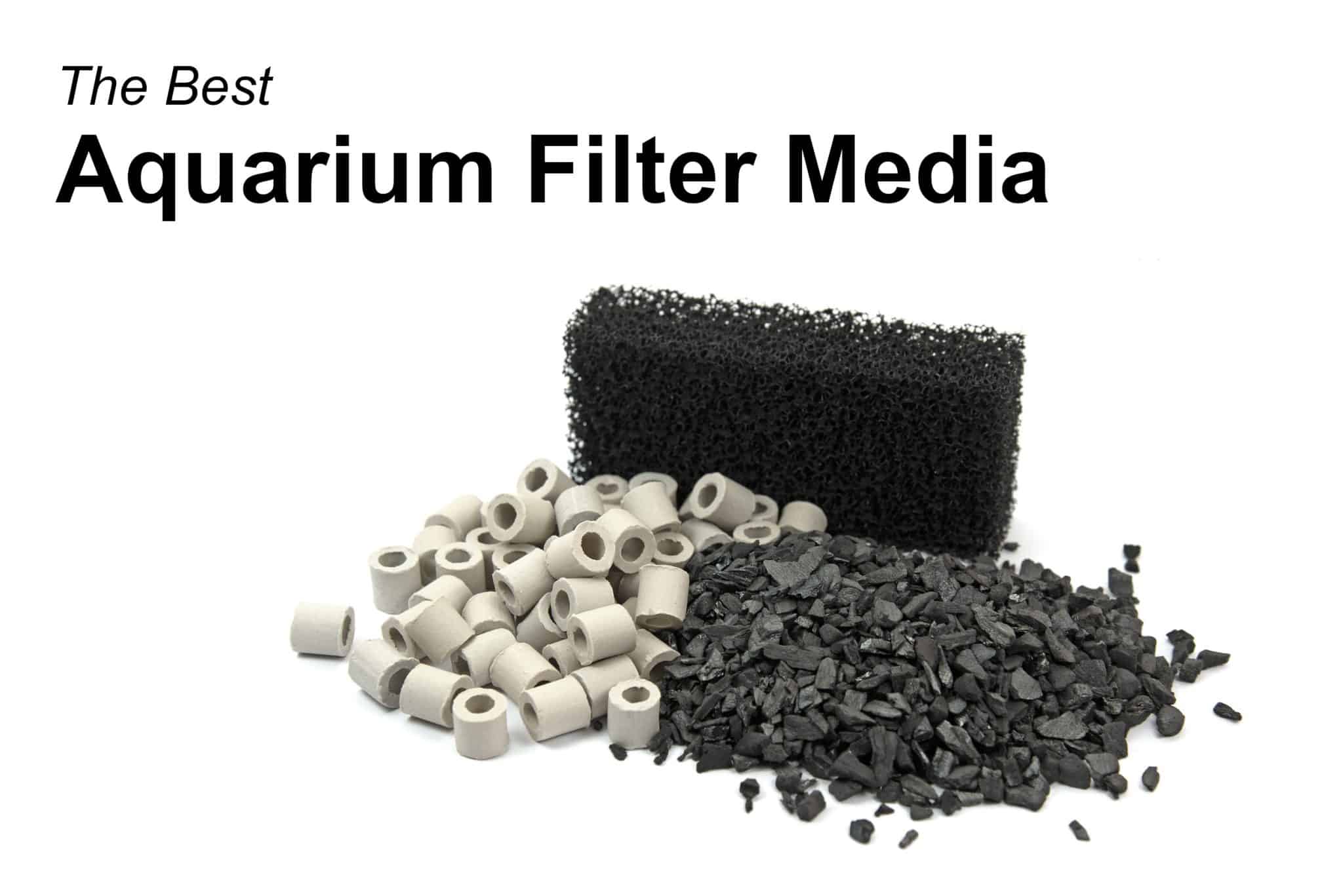 Best Aquarium Filter Media Guide to Bio Filter Media & More Fish