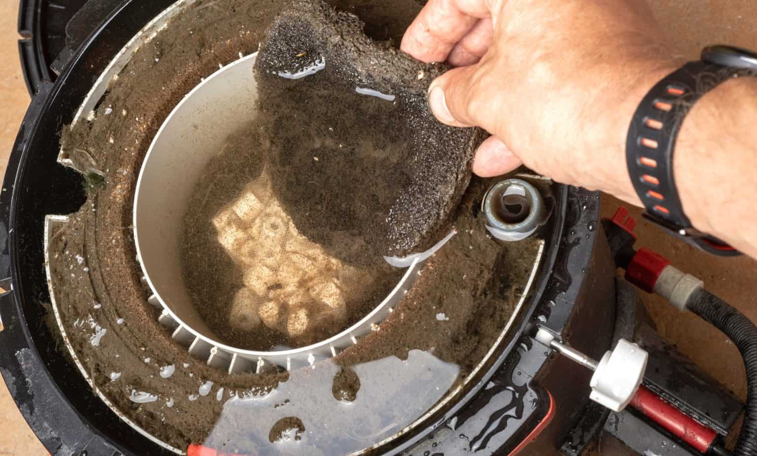 Best Aquarium Filter Media Guide to Bio Filter Media & More Fish