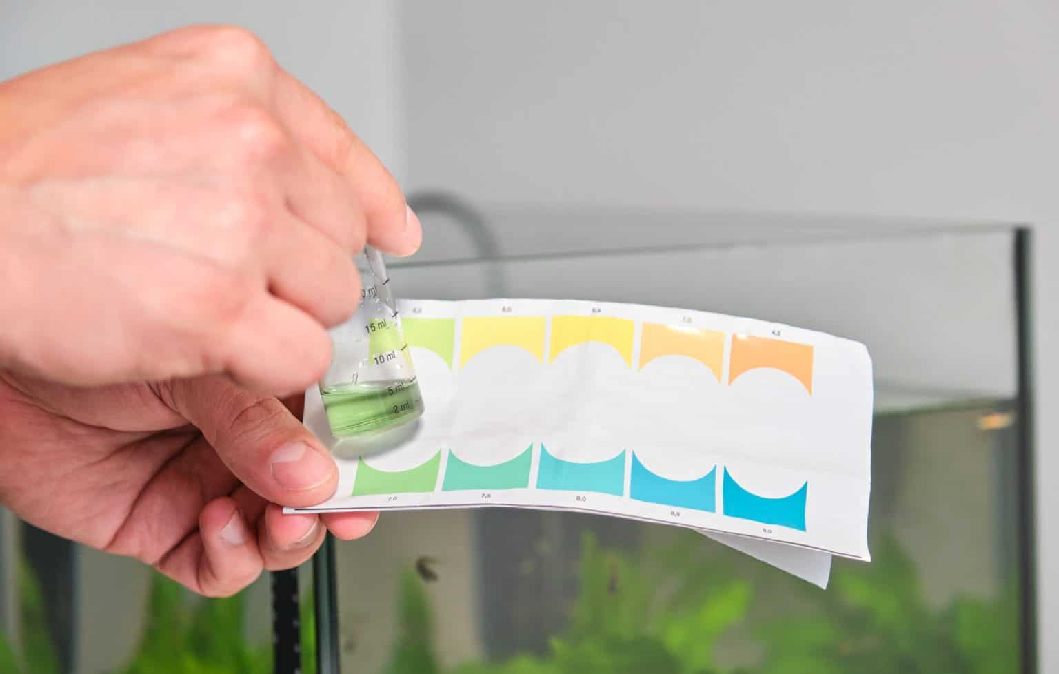 How to Raise pH in Aquarium Fish Laboratory